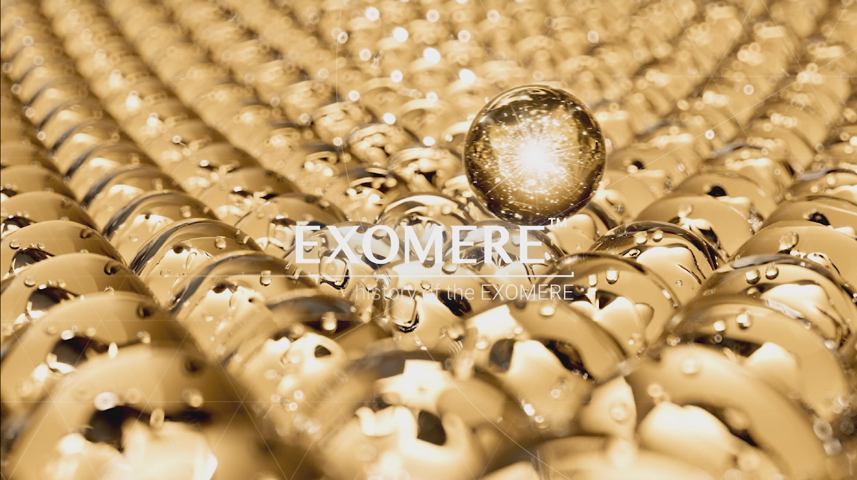 Time72 EXOMERE | Build up 2024, Fly up 2025